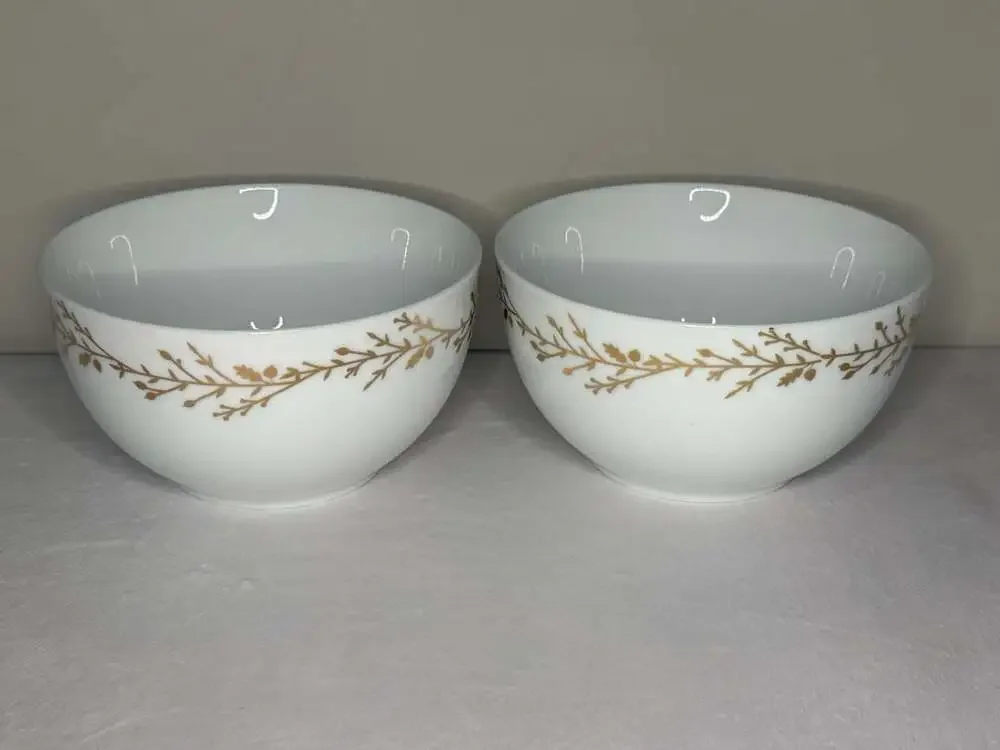 Pier 1 Gilded Wreath Porcelain Bowl Lot of 2